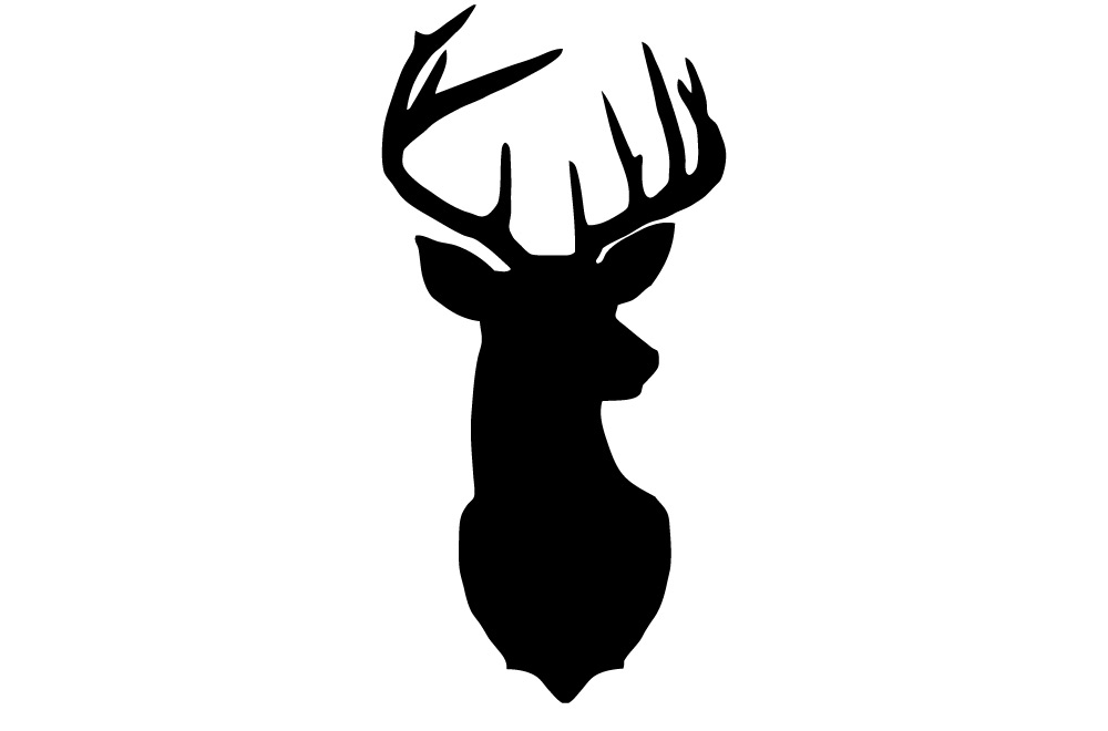 32" X 16" Buck Mount Vinyl Bedroom Wall Art - 1000 x 660 jpeg 29kB